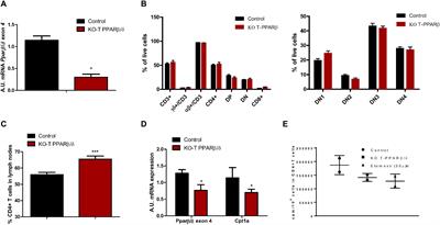 Invalidation of the Transcriptional Modulator of Lipid Metabolism PPARβ/δ in T Cells Prevents Age-Related Alteration of Body Composition and Loss of Endurance Capacity
